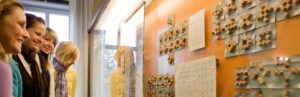 Friedrich-Fröbel-Museum